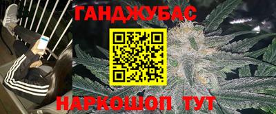 сатива Кингисепп