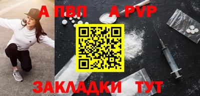сатива Кингисепп
