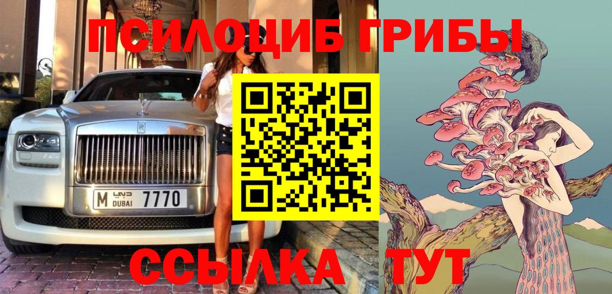 Ржев  Псилоцибиновые грибы Psilocybine cubensis  наркота  Вход с VPN 